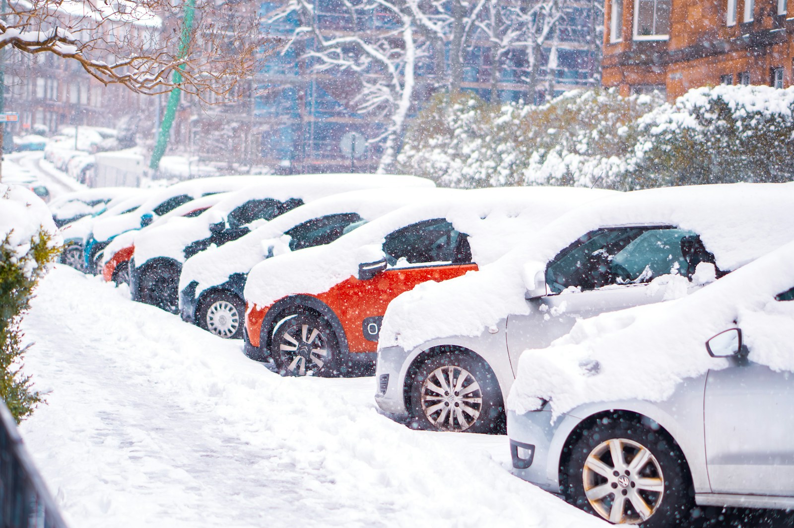 auto insurance